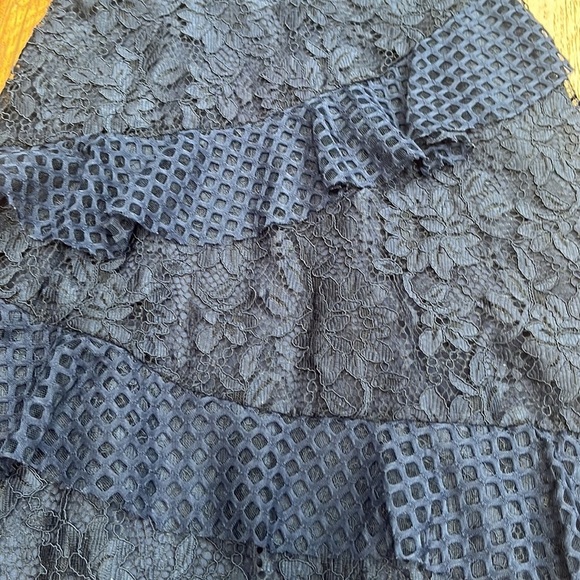 Blush Girl’s Lace Mesh Dress Size 14 - Picture 3 of 8